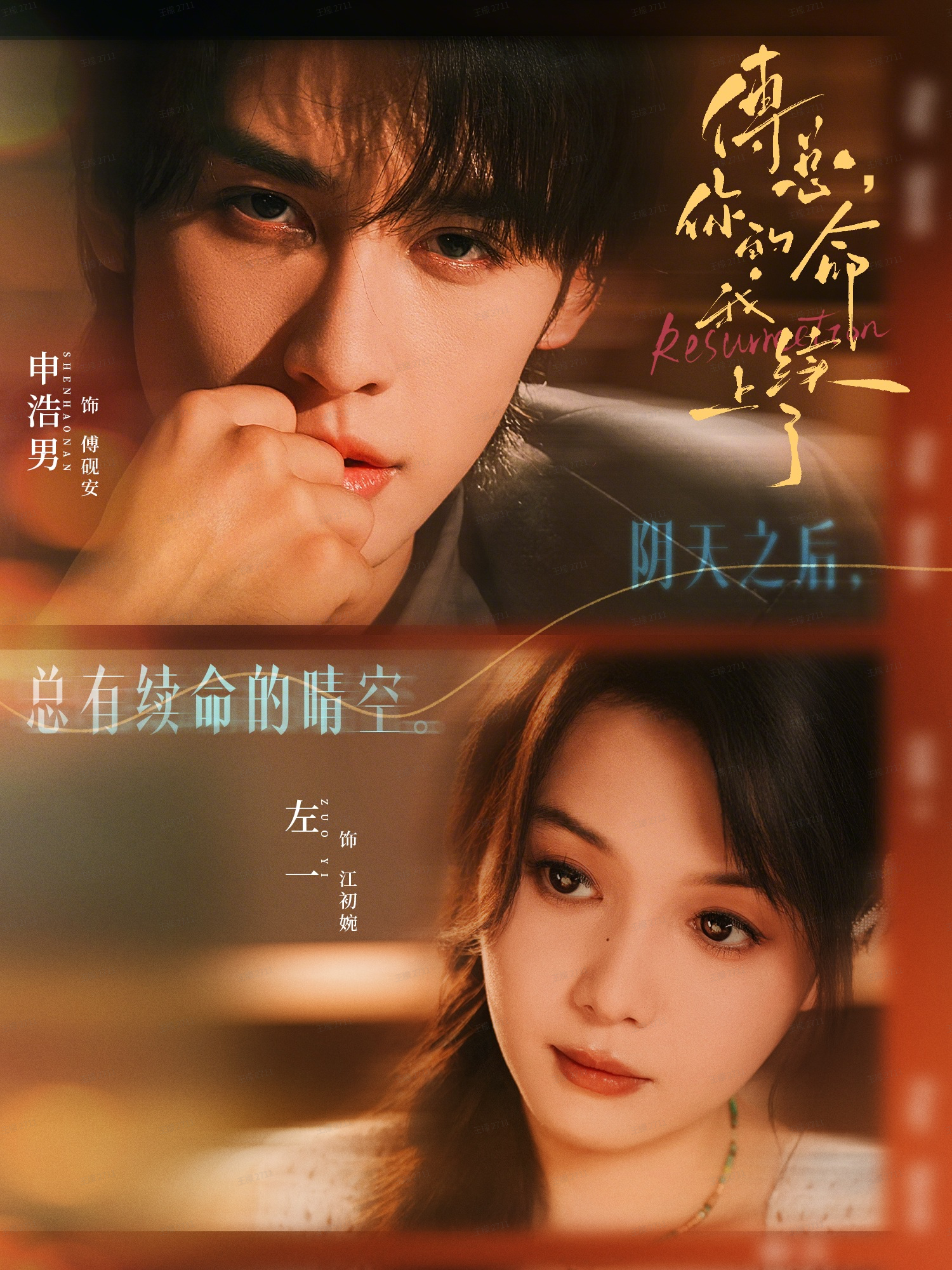 傅总你的命我续上了