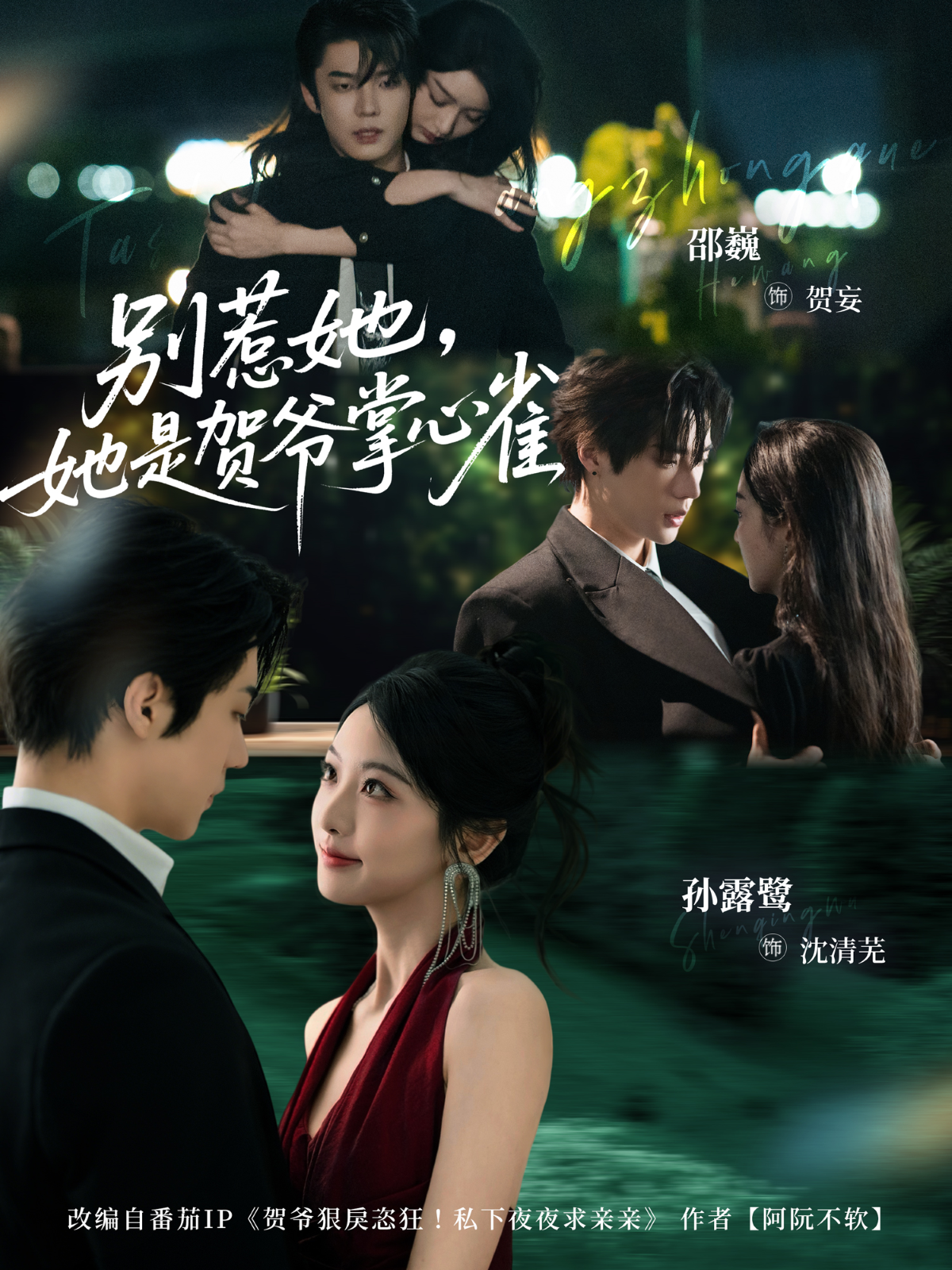 别惹她，她是贺爷掌心雀