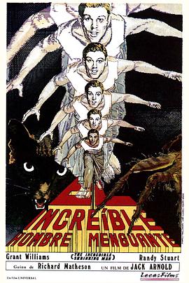 悬案密码2：野鸡杀手