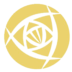 中女超联赛广东省女足vs北京东方雨虹女足20250727