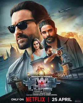 珠宝大盗：神偷出马2025[电影解说]