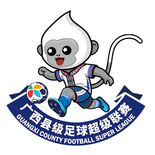 广西县级足球超级联赛百色市平果市队2.2河池市宜州区队20260124