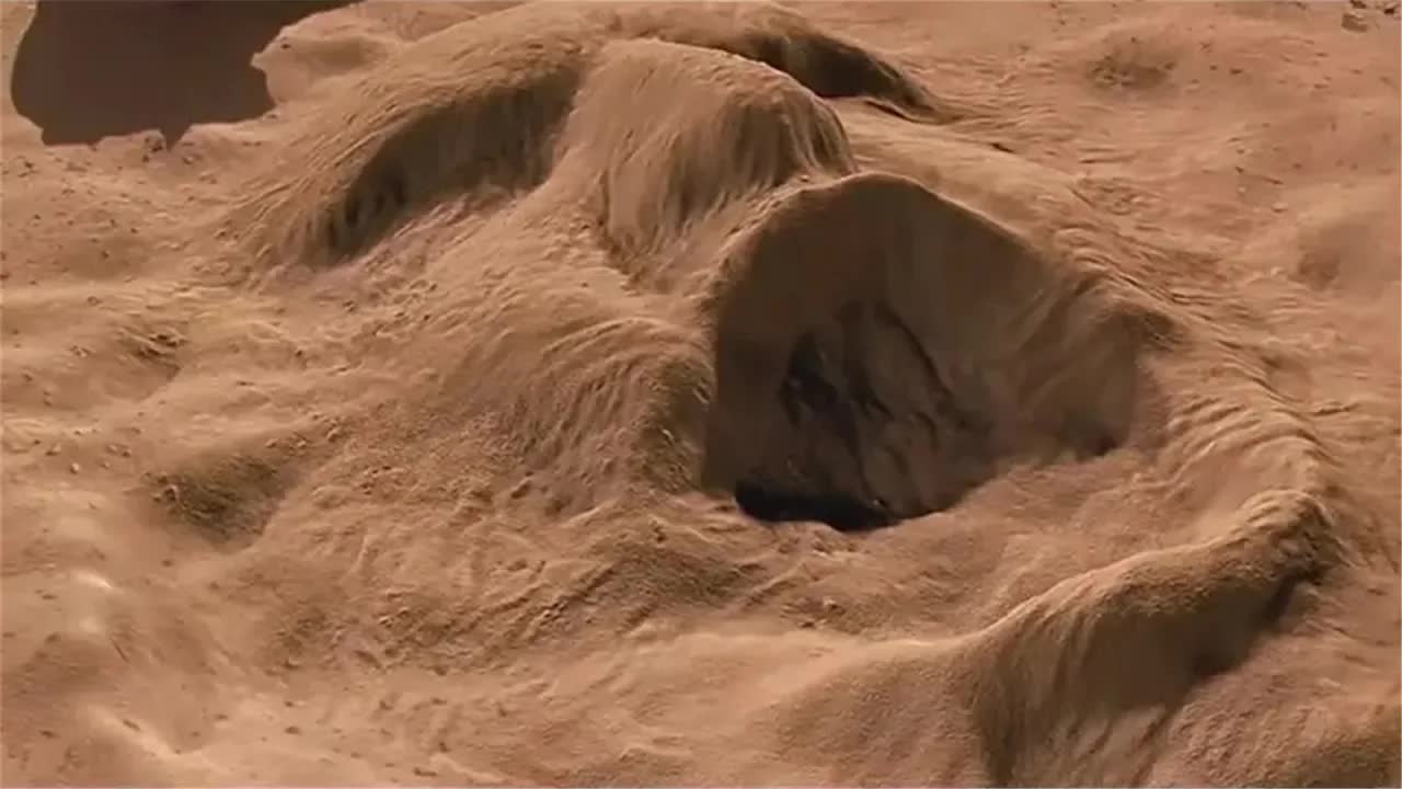 大祭司因与艳后偷情，被做成木乃伊并处以“虫噬”，3000年后复活向世界复仇！