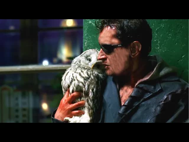 男子和猫头鹰聊天，猫头鹰却瞬间变身，成了守护女神！