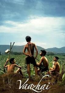 给我一个爱的理由