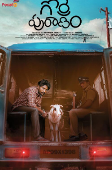 游泳先生独家心动花絮