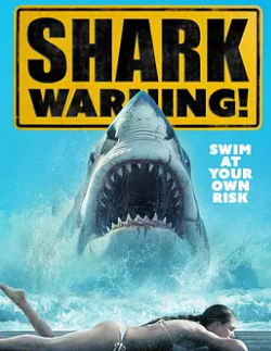 飞鸟集满月cp恋爱日记