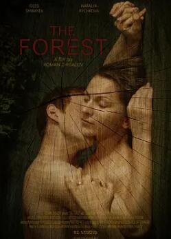 圣诞寻伴第二季