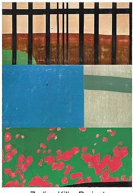 十二宫杀手计划